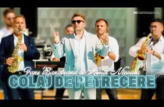 Fane Banateanu & Armin Nicoara – Ce gagica ce figura (Colaj de Petrecere)