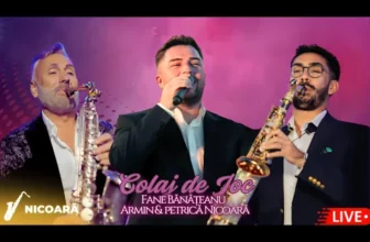 Fane Banateanu x Armin Nicoara x Petrica Nicoara – Colaj de Joc