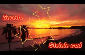 Serena – Stelele Cad (Cover Remix)