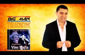 NICOLAE GUTA – Asa va fi