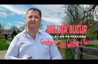 NELUTA BUCUR – Geaba-i luna, Geaba-i stele (COLAJ 2025 Live)