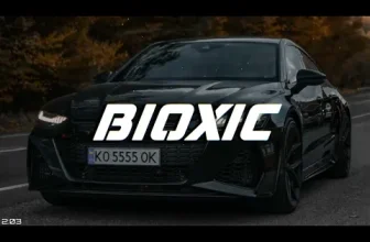 Nicolae Guta – Opera de arta (BioxicRemix)