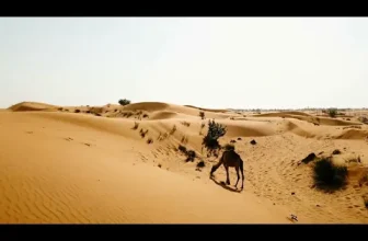 Lissa Ken feat. Jimmy Dub – Love me