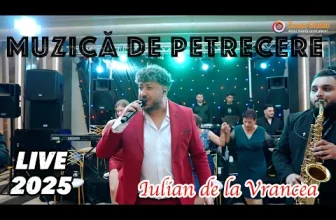 Iulian de la Vrancea – Lautare, canta-mi mie x Colaj Muzica de Petrecere 2025