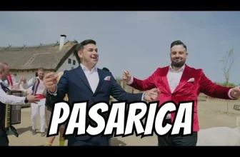 Baboiash & Cristi Proca – Pasarica