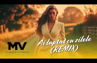 Manelele Viitorului – Ai luptat cu zilele (Remix)