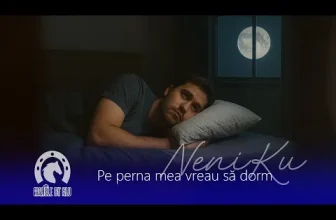 NeniKu – Pe perna mea vreau sa dorm