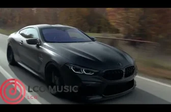 Biceps, triceps si cariceps (LCO Music Remix)