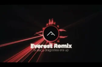 Theo Rose x INNA ft. Nicolae Guta – Si dragostea era up (Everest Mashup Remix Tik Tok)
