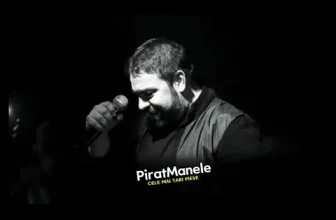 LIVE Florin Salam – Brazilianca 2013