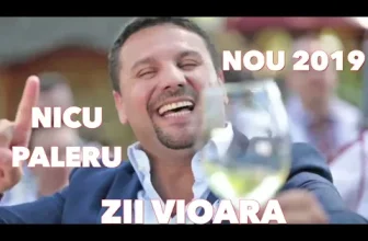 Nicu Paleru & Orchestra Fratilor Stefanet – Zii vioara