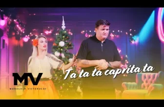 Manelele Viitorului x Florinel – Ta ta ta caprita ta