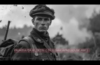 Frunzulita musetel (Dj iulian afro remix 2026)