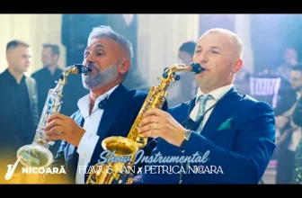 Flavius Nan x Petrica Nicoara – Show Instrumental