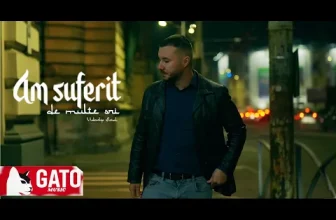 GATO – Am suferit de multe ori