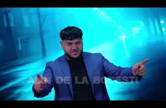 Alin de la Bobesti – Doar Fratele Meu