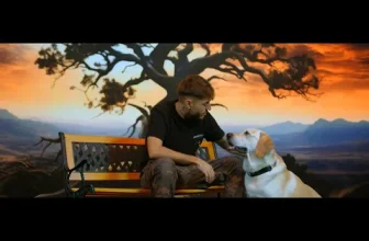 Nikolas – Si copacul din gradina