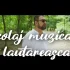 Mixaj – Muzica Lautareasca, lautareasca veche – muzica de pahar, ascultare