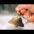 Cipri Popescu – Pa dealu cu stanjenii (COLIND TRADITIONAL)