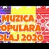 Alex de la Caracal & Ork. Luminii – Suna-ma sa ne impacam (LIVE 2020)