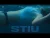 Nysario – Stiu (feat. Catri)